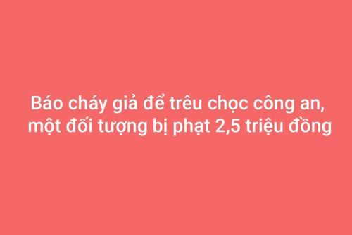 Báo cháy giả để trêu chọc công an, một đối tượng bị phạt 2,5 triệu đồng