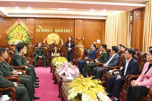 Phó Bí thư Thường trực Tỉnh ủy Nguyễn Thị Hương thăm, chúc mừng Sư đoàn 3