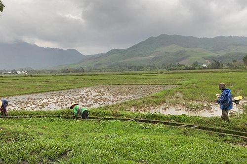 Bảo đảm sản xuất vụ đông xuân 2025 - 2026