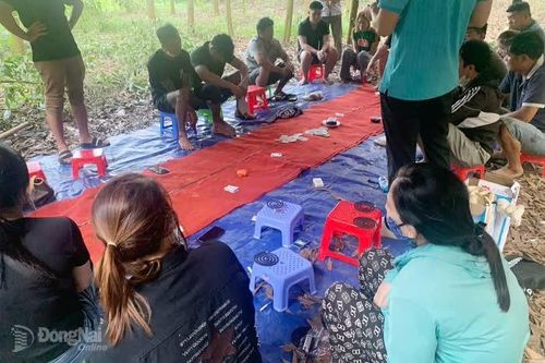 Triệt phá tụ điểm đánh bạc trong vườn tràm tại phường Trảng Dài