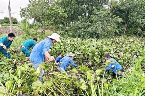 Giữ vững và nâng chất các tiêu chí nông thôn mới