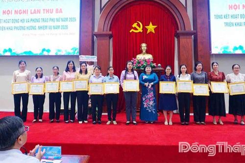 Đồng Tháp: Công tác Hội và phong trào phụ nữ đạt nhiều kết quả nổi bật