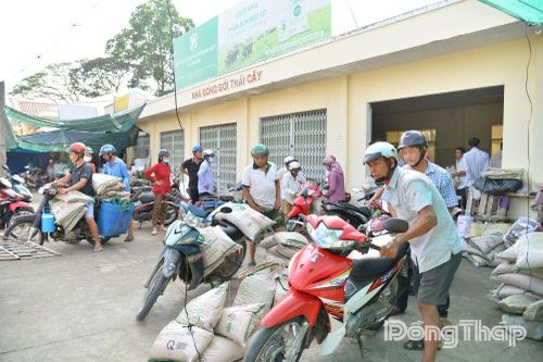 Xã Vĩnh Kim và xã Kim Sơn: Hỗ trợ nông dân phục hồi cây trồng sau ảnh hưởng bão, lũ