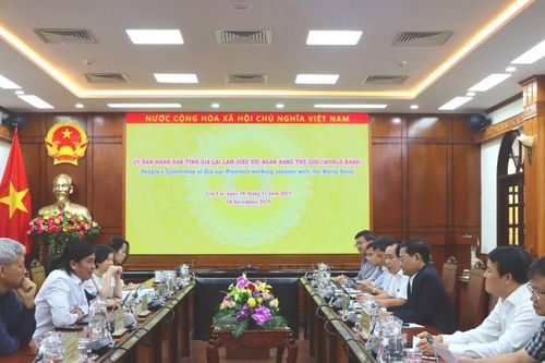 Phó Chủ tịch UBND tỉnh Nguyễn Tự Công Hoàng làm việc với Đoàn công tác của Ngân hàng Thế giới