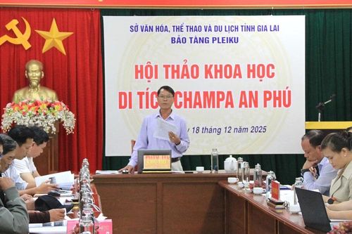 Gia Lai: Đề nghị xếp hạng di tích lịch sử cấp tỉnh cho Di tích Champa An Phú