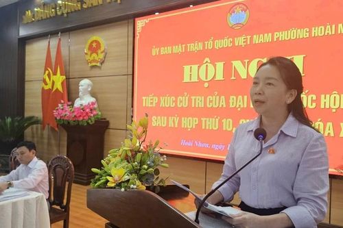 Phó Trưởng đoàn chuyên trách Đoàn ĐBQH tỉnh Lý Tiết Hạnh tiếp xúc cử tri xã An Vinh và phường Hoài Nhơn