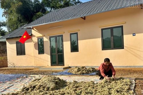 Sinh kế từ rừng giúp phụ nữ Mông ở Mà Mù Sử 1 ổn định cuộc sống