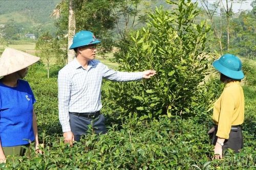 Bảo Yên: Lan tỏa nhiều mô hình 'Dân vận khéo' thiết thực, hiệu quả