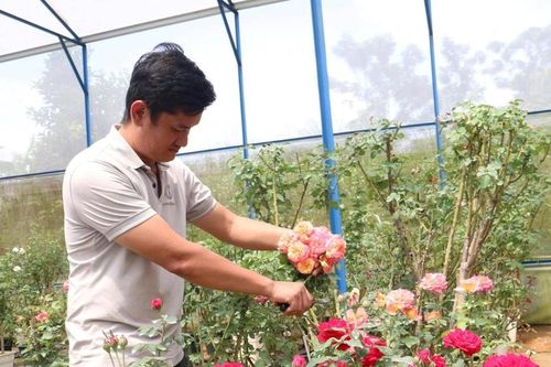 Quảng Sơn phát triển kinh tế nông thôn làm đòn bẩy nâng cao thu nhập