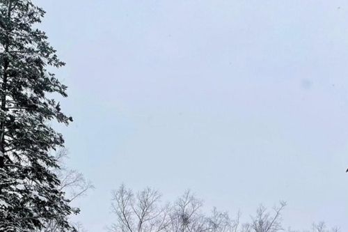 Hokkaido: Khám phá Niseko, thánh địa tuyết bột Nhật Bản