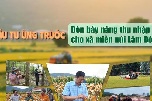 Đầu tư ứng trước - Đòn bẩy nâng thu nhập cho xã miền núi Lâm Đồng