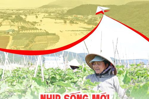 Nhịp sống mới nơi buôn làng sau mưa lũ