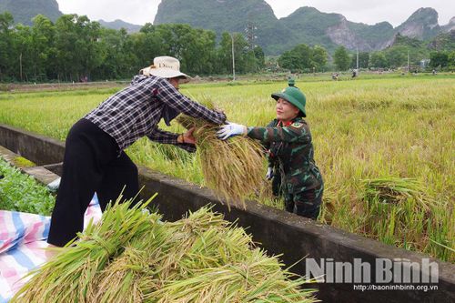 Ninh Bình trích 1,5 tỷ đồng hỗ trợ gia đình cán bộ, chiến sĩ bị ảnh hưởng bởi thiên tai