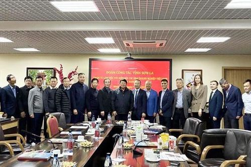 Đoàn công tác tỉnh Sơn La làm việc với Hiệp hội Doanh nghiệp Việt Nam tại Nga: Mở rộng cơ hội kết nối - xuất khẩu