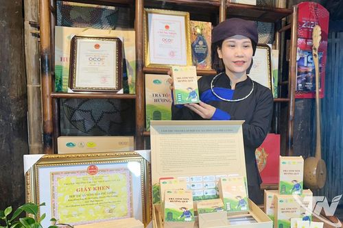 Mang tinh hoa OCOP đến Lễ hội trà