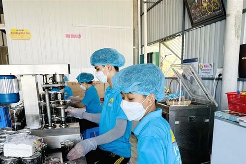 Cà Mau triển khai nhiều hoạt động hỗ trợ pháp lý cho doanh nghiệp