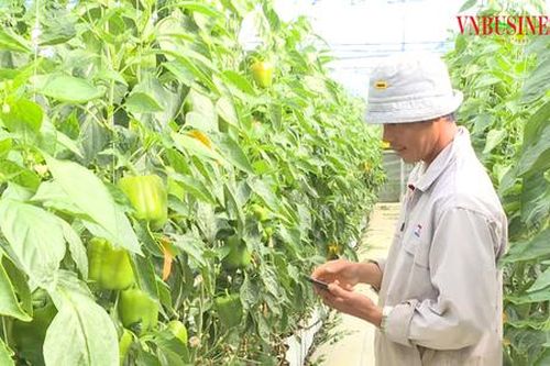 HTX ứng dụng công nghệ, đánh thức những vùng đất khó ở Lâm Đồng