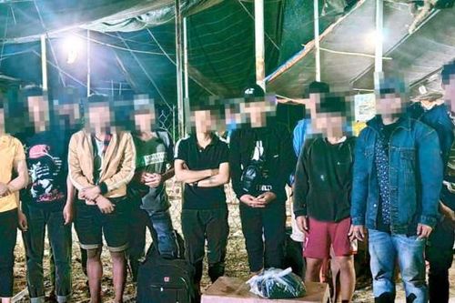 Xử lý 13 đối tượng vượt đường mòn, ruộng mía nhập cảnh trái phép