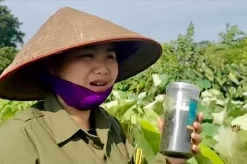 Từ lá sen bỏ đi đến giấc mơ làm giàu của cô gái 9X