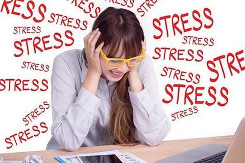 4 chất đến từ thảo dược giúp giảm căng thẳng cho não bộ