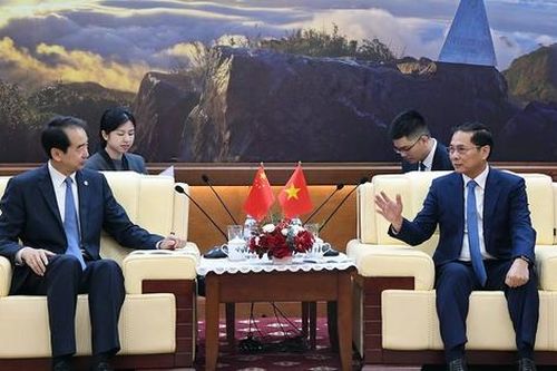 Phó Thủ tướng Bùi Thanh Sơn tiếp Đại sứ Trung Quốc Hà Vĩ