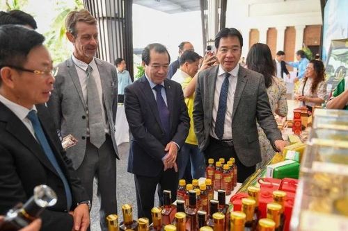 Du lịch thúc đẩy các trụ cột kinh tế tỉnh Khánh Hòa