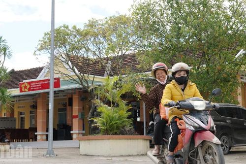 Hoa sẽ vàng và cỏ sẽ lại xanh