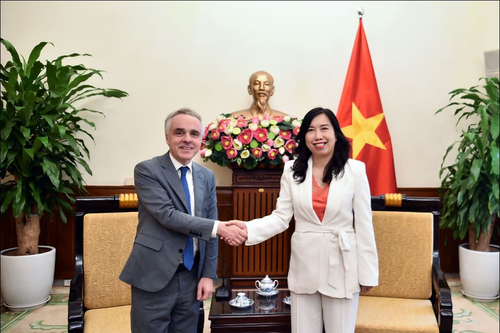 Việt Nam luôn coi trọng và ưu tiên tăng cường hợp tác với Pháp