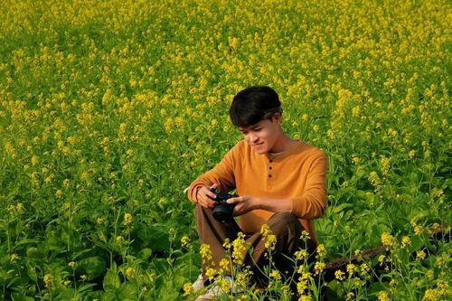 Mê mẩn cánh đồng hoa cải vàng nở rộ đẹp như tranh ở ngoại thành Hà Nội