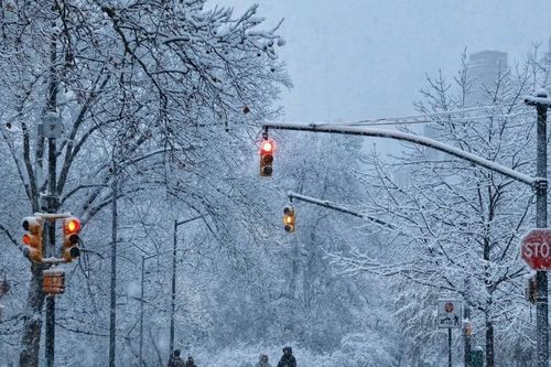 New York mùa đông trở thành điểm đến lý tưởng cho người thích săn tuyết