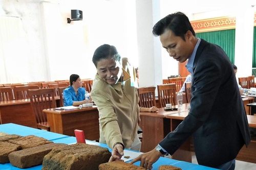 Gia Lai xây dựng hồ sơ đề nghị tháp Chăm An Phú là di tích cấp tỉnh
