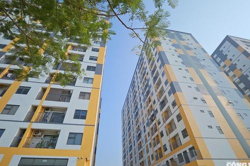 Hải Phòng: Khánh thành 7 tòa nhà ở xã hội quy mô gần 2.000 căn hộ