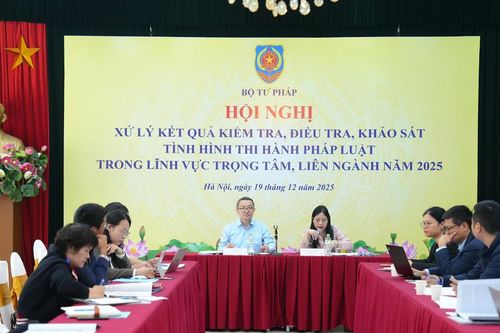 Xử lý kết quả kiểm tra, khảo sát tình hình thi hành pháp luật trong lĩnh vực trọng tâm, liên ngành năm 2025