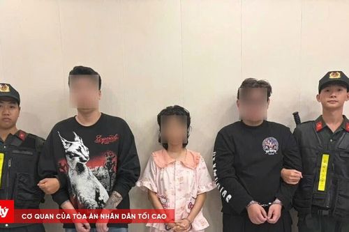 Triệt phá đường dây buôn bán trái phép 'khí cười' với phương thức, thủ đoạn tinh vi