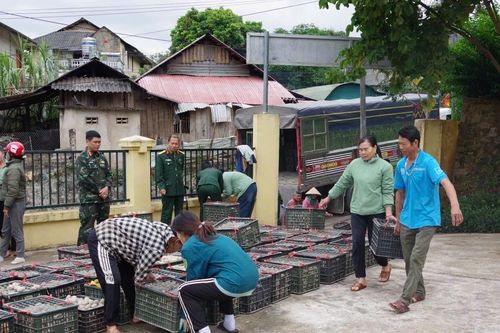 Thực hiện '3 bám, 4 cùng, 5 có' để hỗ trợ đồng bào biên giới