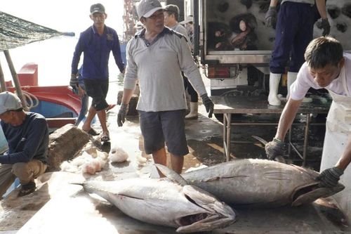 Ba 'siêu cường' vung tiền gom mua, dự báo điều chưa từng có với thế mạnh Việt