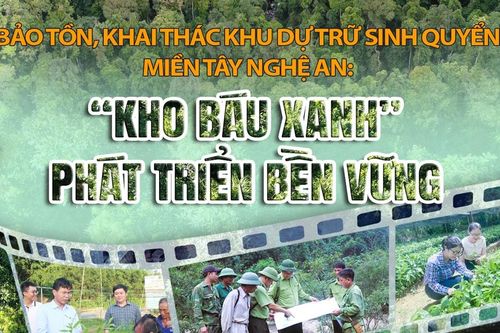 Bảo tồn, khai thác Khu Dự trữ sinh quyển miền Tây Nghệ An:'Kho báu xanh' phát triển bền vững