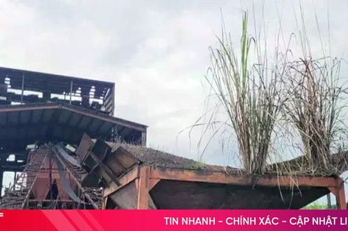 Chấm dứt hoạt động Dự án Nhà máy tuyển quặng sắt Vũ Quang