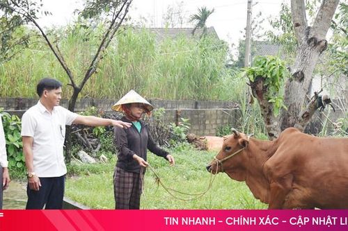 Quyết liệt trong chỉ đạo, trách nhiệm khi giúp đỡ người nghèo