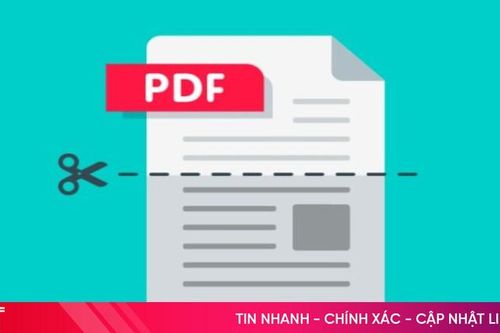 Cách tách file PDF online đơn giản để chỉnh sửa và chia sẻ dễ dàng