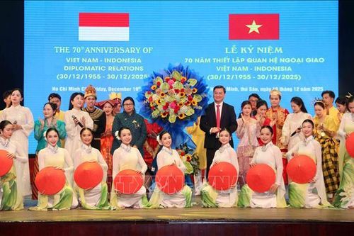 Cầu nối tích cực thúc đẩy quan hệ hữu nghị, hợp tác Việt Nam - Indonesia