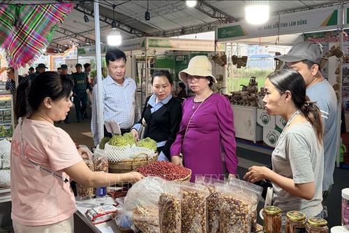 Khai mạc Hội chợ nông nghiệp, nông sản xanh Đồng bằng sông Cửu Long
