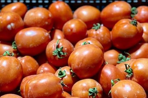 Thứ quả từng 'rẻ như cho' nay khiến người mua choáng váng vì giá đắt đỏ