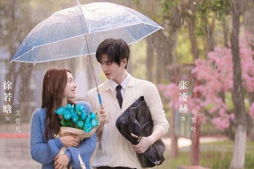 Top phim Hoa ngữ chữa lành trong dịp Giáng sinh