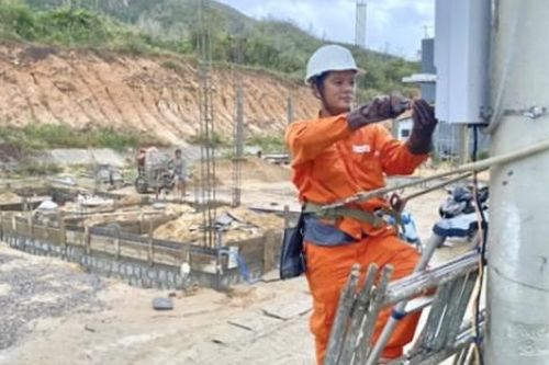 Điện lực Gia Lai góp sức cùng địa phương thực hiện 'Chiến dịch Quang Trung'