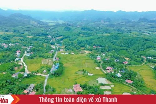 Khát vọng xanh hóa bản làng