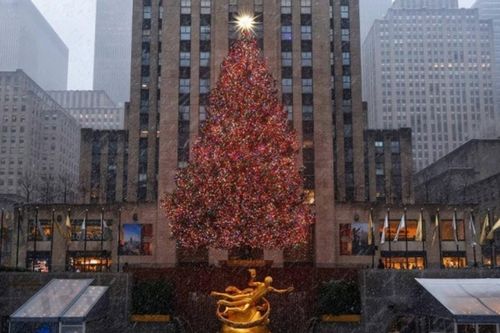 New York hóa xứ sở thần tiên trong đợt tuyết đầu mùa
