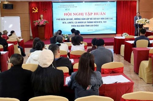 Tập huấn phổ biến cơ chế cho vay, hướng dẫn lập hồ sơ vay vốn
