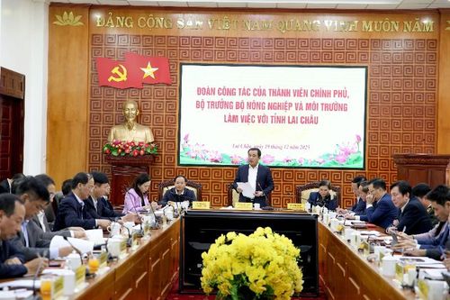 Đoàn công tác của thành viên Chính phủ, Bộ trưởng Bộ Nông nghiệp và Môi trường làm việc với tỉnh Lai Châu