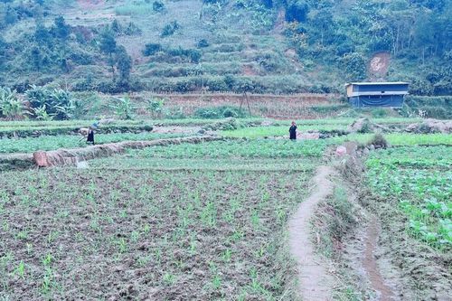Xã Hạnh Phúc nhiều chỉ tiêu đạt và vượt kế hoạch năm 2025